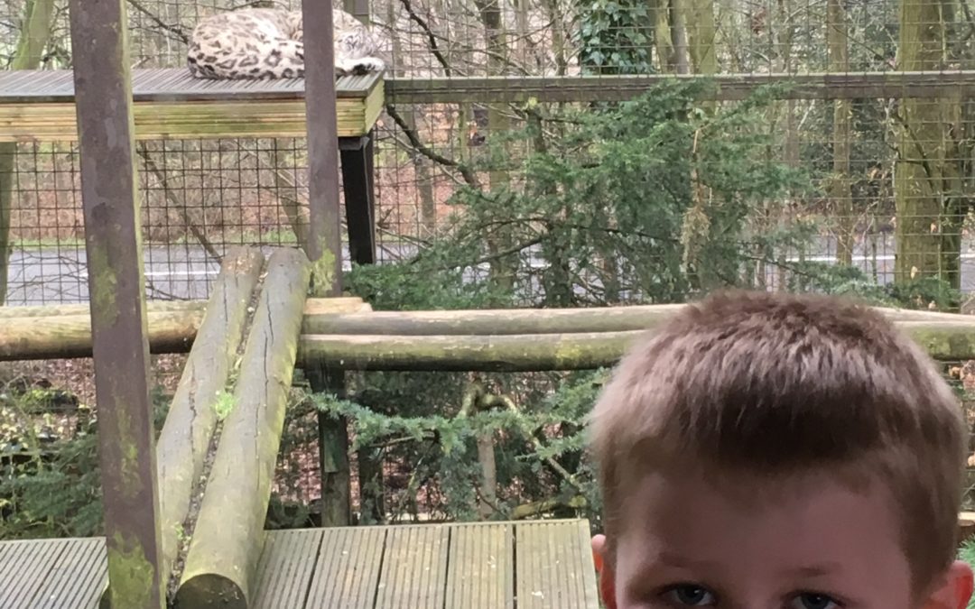 Trip to Paradise Wildlife Park, Hertfordshire